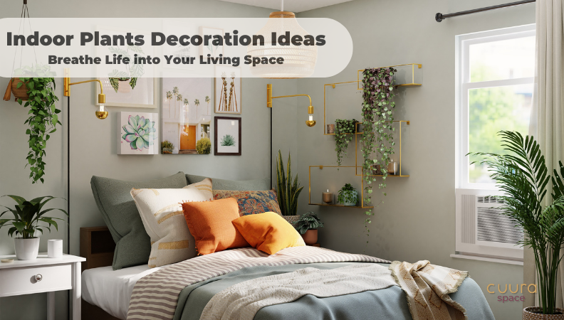 Indoor Plants Decoration Ideas: Breathe Life into Your Living Space