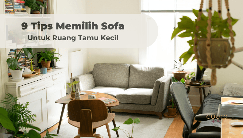 9 Tips Memilih Sofa Untuk Ruang Tamu Kecil (+ Pilihan Hangat 2024)