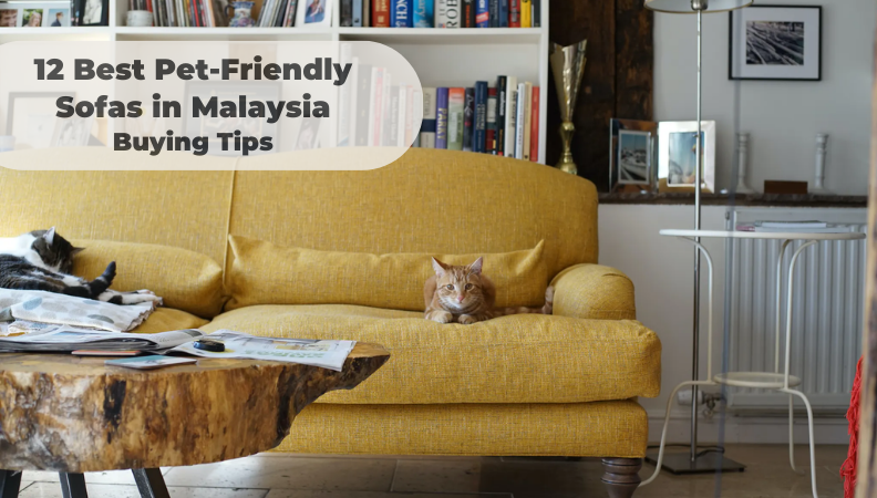 12 Best Pet-Friendly Sofas in Malaysia (2024) + Buying Tips